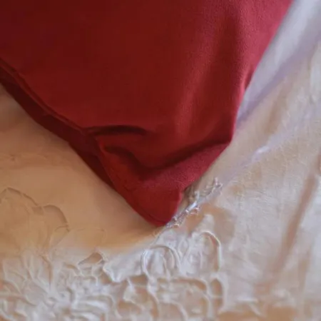 And Tacy אופטיה