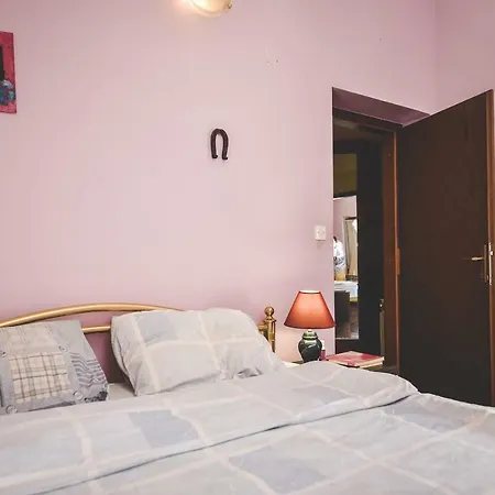 And Tacy אופטיה